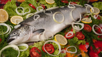 salmon with vegetables and lemon with onions