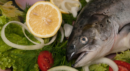 salmon with vegetables