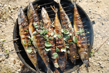 smoked mackerel