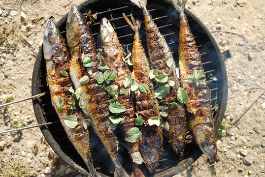 smoked mackerel