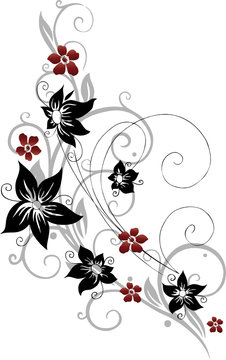 Blume, Blüte, Ranke, filigran, floral, ornamental