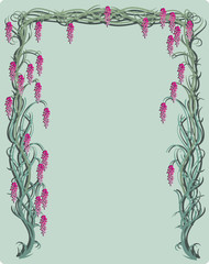 Wisteria statinonary