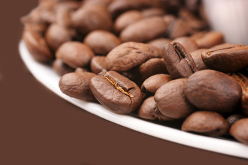 Close-up of coffee beans
