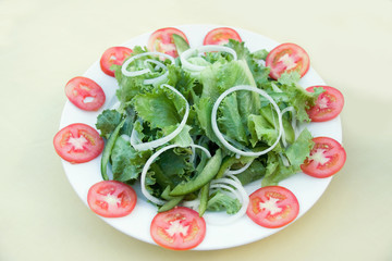 salad with onion and tomato