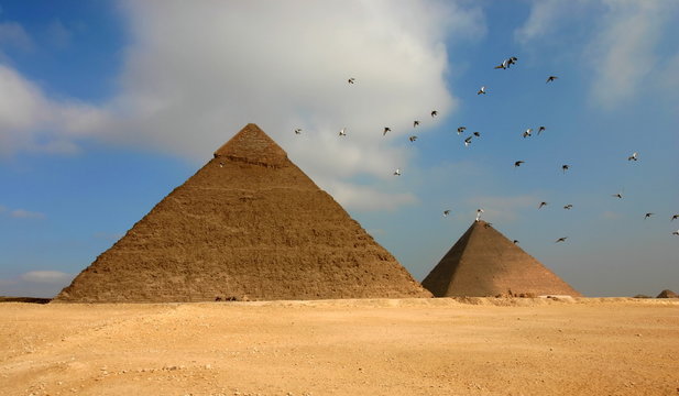 Egypt pyramids and birds