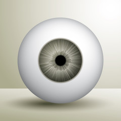 eyeball