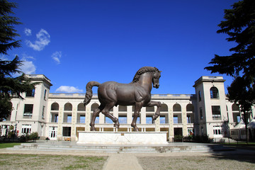 Cavallo di Leonardo