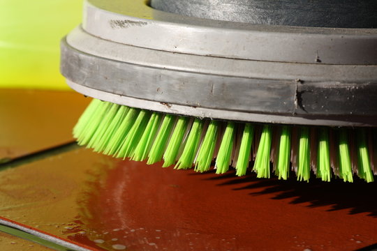 monobrosse