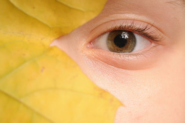 Autumn view. Closeup of the eye and leaf