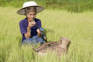 alte Frau Asien beim Rauchen, Opiumpfeife