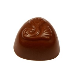 tasty chocolate bonbon