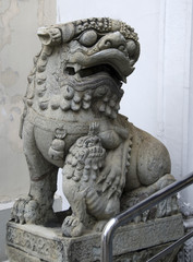 Chinese lion - made of stone