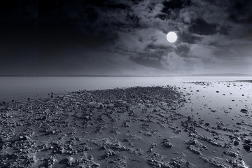 moon - obrazy, fototapety, plakaty