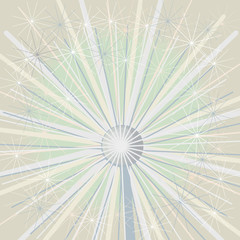 Obraz premium Dandelion Background Close-up