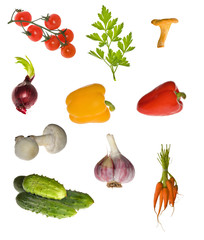 different vegetables collection