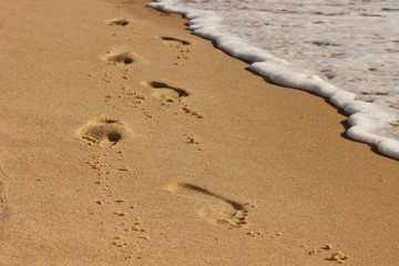 footsteps on the beach