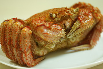 毛蟹