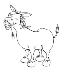 Esel, lachen, Zähne, glücklich, Bauernhof