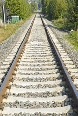 Fototapeta premium Railroad tracks headed into the distance
