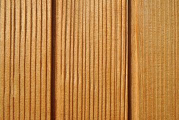 Wood Texture