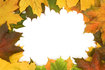 Obraz premium Background