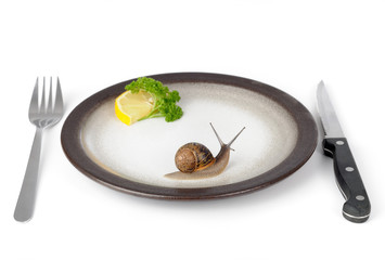 weinbergschnecke menü