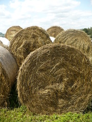Bales of straw