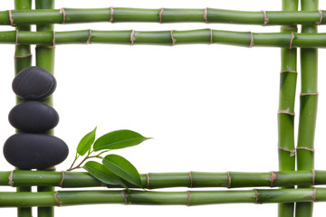 Bamboo frame