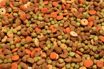 katzenfutter / trockenfutter