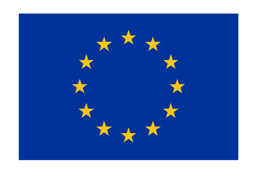 European Union flag isolated vector illustration