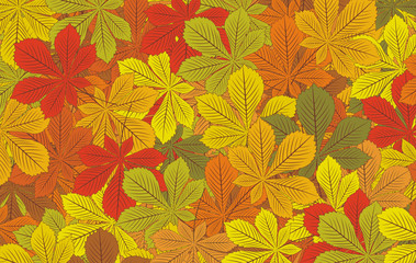 Autumn horse-chestnut leaves vector background
