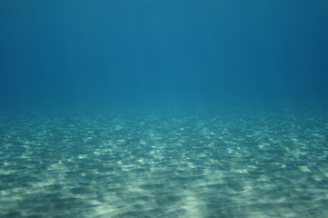 Fototapeta na wymiar Podwodne tła