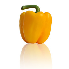 poivron jaune