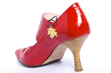 Shoes and suspension bracket