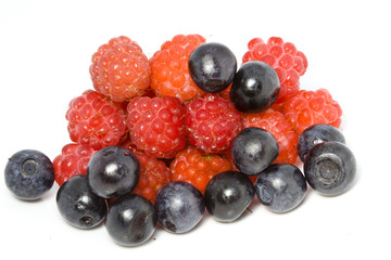Berries  on a white background