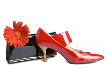 Shoes  and  handbag and flower
