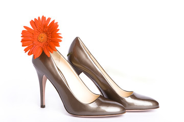 Beige-golden female  shoes