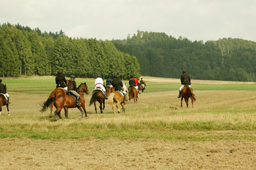 Horses and riders.