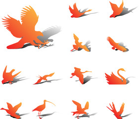 Set icons. Birds
