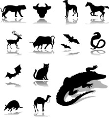 Set icons. Animals