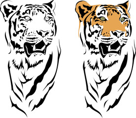 Year of the Tiger 2010