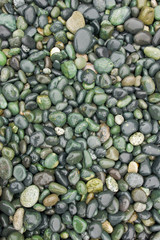 Beach Pebbles