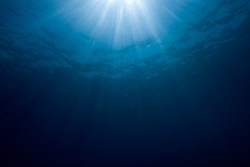 Sunrays breaking through the surface of the sea.