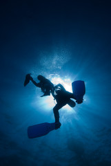 Silhouette of scuba divers at the surface