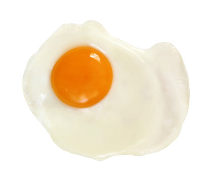 Fried Egg (With Path)