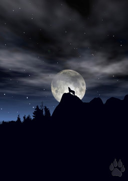 Wolf howling in moonlight silhoutte