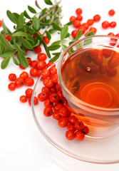 Tea with berries