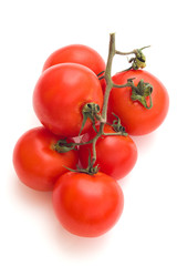 fresh tomatoes