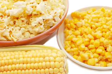 Fresh corn, preserved corn and popcorn