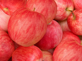 Fruit apples  red